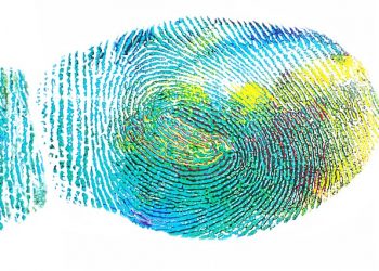 How to Fix validity sensors (wbf) (pid=0018)