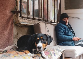 Understanding The Benefits Of An Annuity plan For Your Future