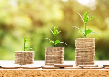 Top Financial Tips You Should Remember