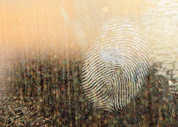 Forensic