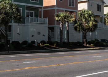 white and brown house beside green palm tree during daytime