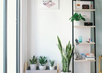 The Future of Home Living: The Rise of Smart Homes