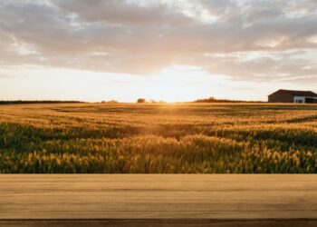 Advanced Technologies That You Should Keep An Eye On In Agriculture In 2025