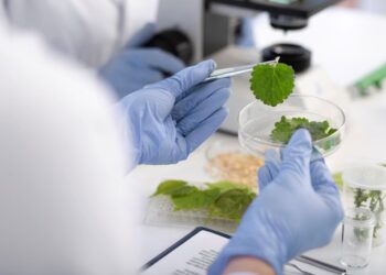 Spectroscopy applications: Main industries that rely on this technology