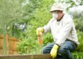 Practical Strategies to Prevent Pest Infestations in Your Home