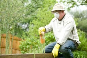 Practical Strategies to Prevent Pest Infestations in Your Home
